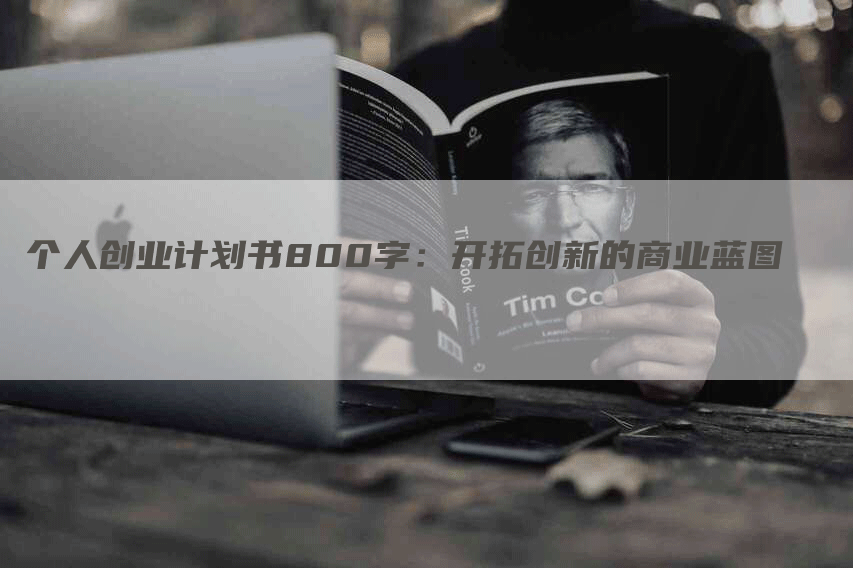 个人创业计划书800字：开拓创新的商业蓝图-网站排名优化网