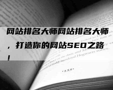 网站排名大师网站排名大师，打造你的网站SEO之路！-网站排名优化网