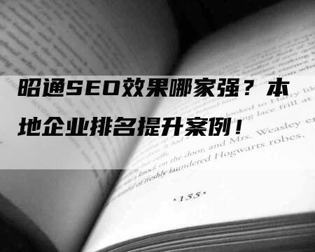 昭通SEO效果哪家强？本地企业排名提升案例！