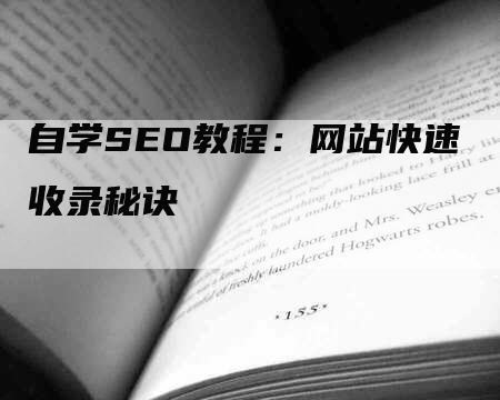 自学SEO教程：网站快速收录秘诀