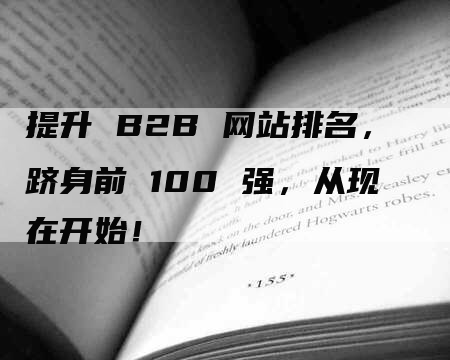 提升 B2B 网站排名，跻身前 100 强，从现在开始！