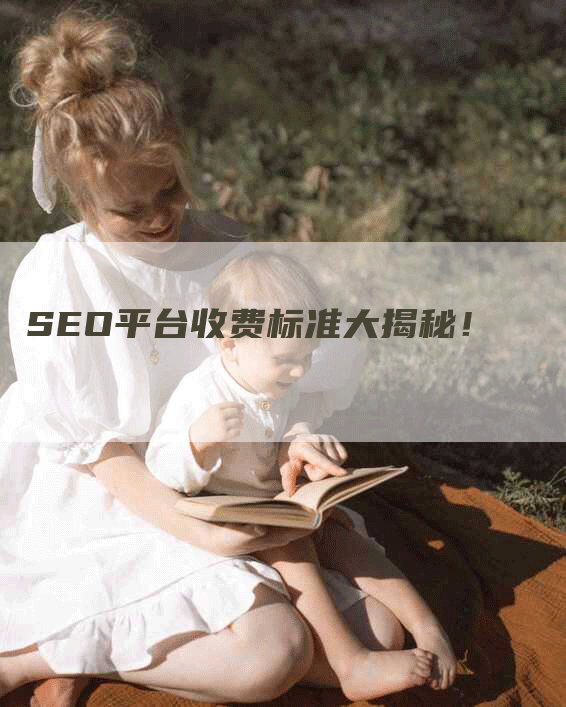 SEO平台收费标准大揭秘！