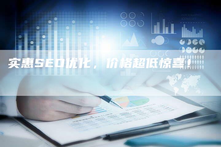 实惠SEO优化，价格超低惊喜！-网站排名优化网