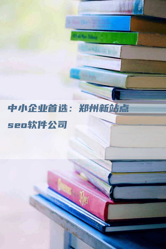 中小企业首选：郑州新站点seo软件公司