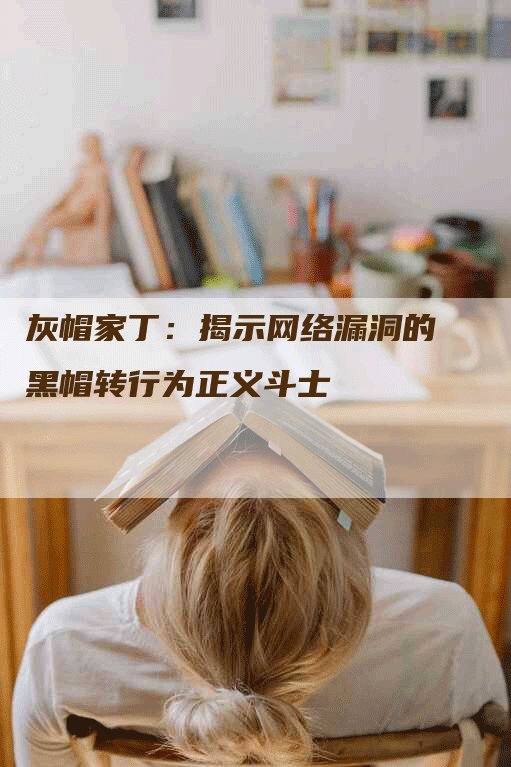 灰帽家丁：揭示网络漏洞的黑帽转行为正义斗士