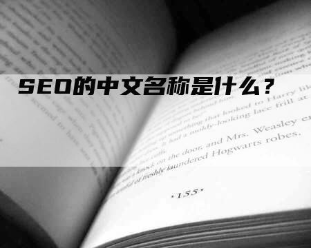 SEO的中文名称是什么？