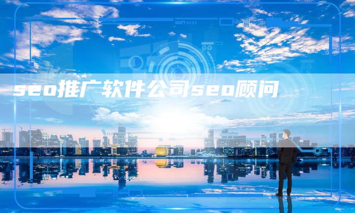 seo推广软件公司seo顾问