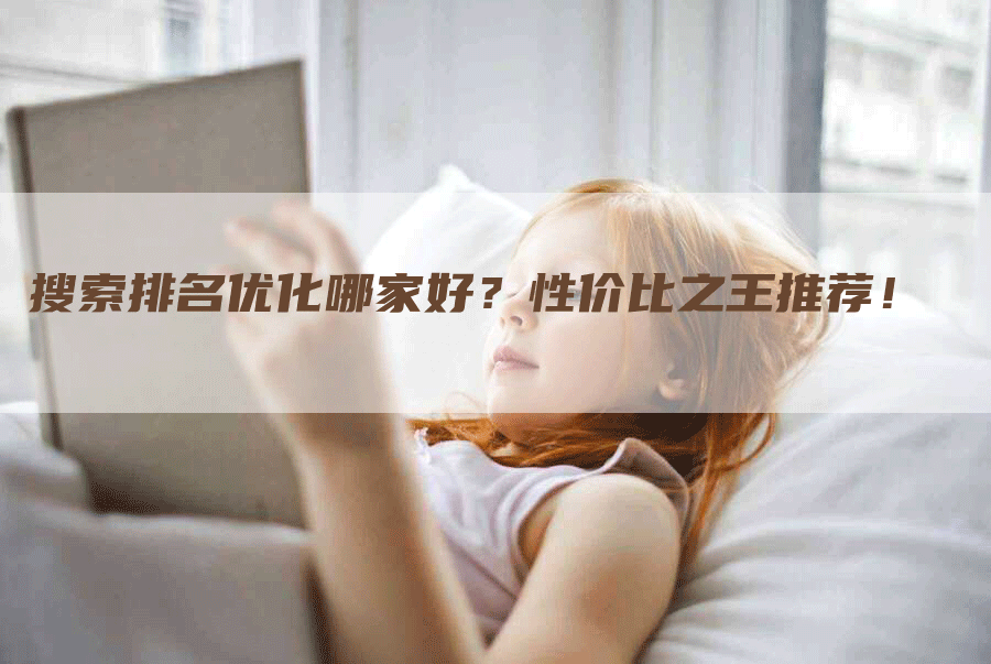 搜索排名优化哪家好？性价比之王推荐！-网站排名优化网