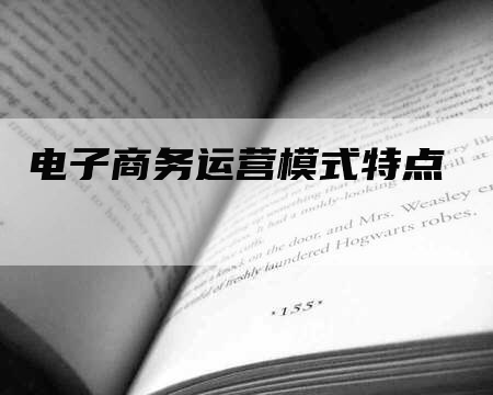 电子商务运营模式特点-网站排名优化网