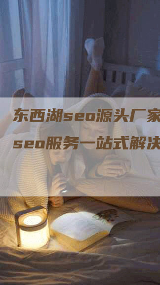 东西湖seo源头厂家——seo服务一站式解决方案-网站排名优化网