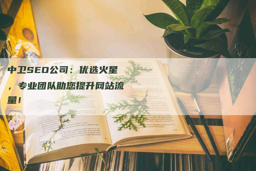 中卫SEO公司：优选火星，专业团队助您提升网站流量！