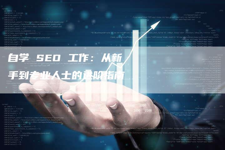 自学 SEO 工作：从新手到专业人士的进阶指南-网站排名优化网