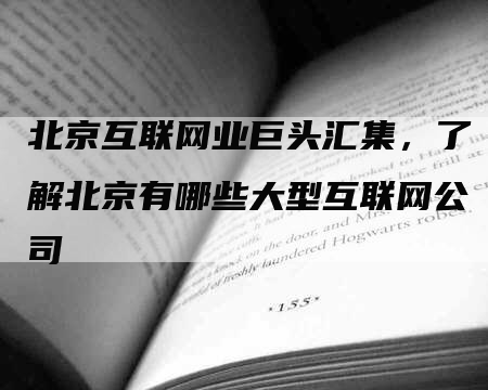 北京互联网业巨头汇集，了解北京有哪些大型互联网公司-网站排名优化网