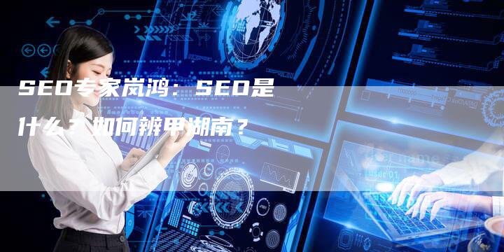 SEO专家岚鸿：SEO是什么？如何辨甲湖南？