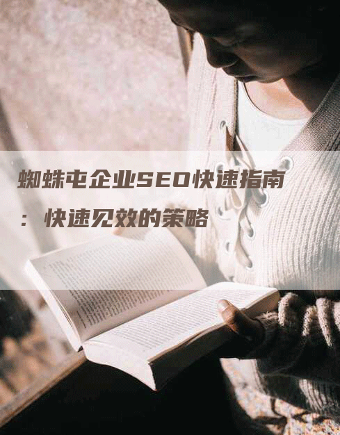 蜘蛛屯企业SEO快速指南：快速见效的策略-网站排名优化网