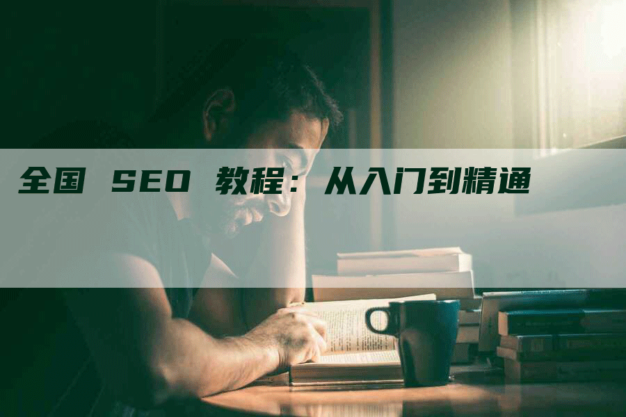 全国 SEO 教程：从入门到精通