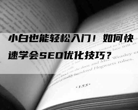 小白也能轻松入门！如何快速学会SEO优化技巧？