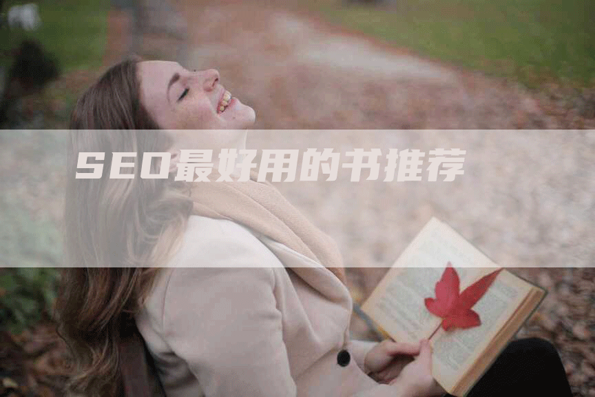 SEO最好用的书推荐