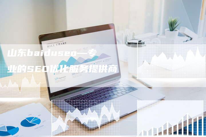 山东baiduseo—专业的SEO优化服务提供商-网站排名优化网