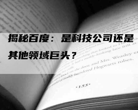 揭秘百度：是科技公司还是其他领域巨头？