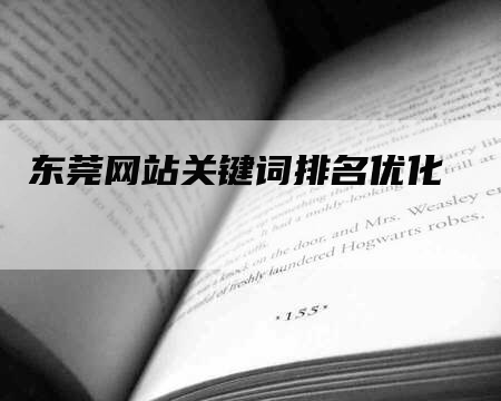 东莞网站关键词排名优化