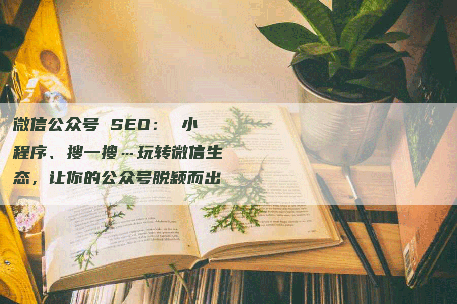 微信公众号 SEO： 小程序、搜一搜…玩转微信生态，让你的公众号脱颖而出-网站排名优化网