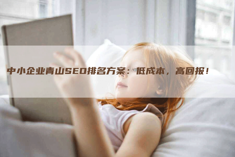 中小企业青山SEO排名方案：低成本，高回报！-网站排名优化网