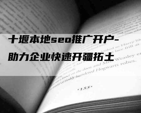 十堰本地seo推广开户-助力企业快速开疆拓土