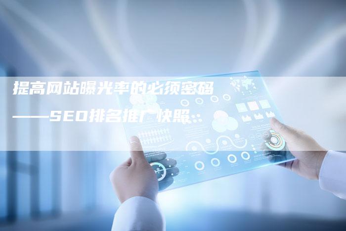 提高网站曝光率的必须密码——SEO排名推广快照