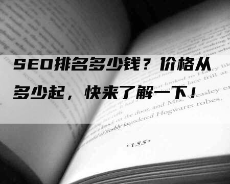 SEO排名多少钱？价格从多少起，快来了解一下！