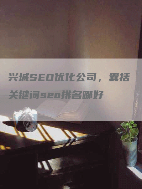 兴城SEO优化公司，囊括关键词seo排名哪好