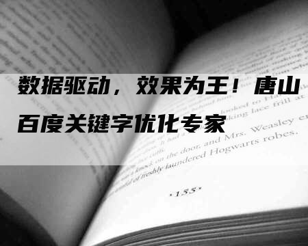 数据驱动，效果为王！唐山百度关键字优化专家