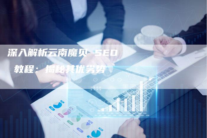 深入解析云南魔贝 SEO 教程：揭秘其优劣势