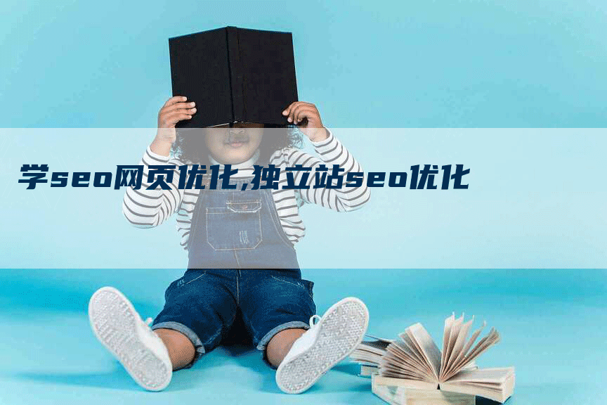 学seo网页优化,独立站seo优化