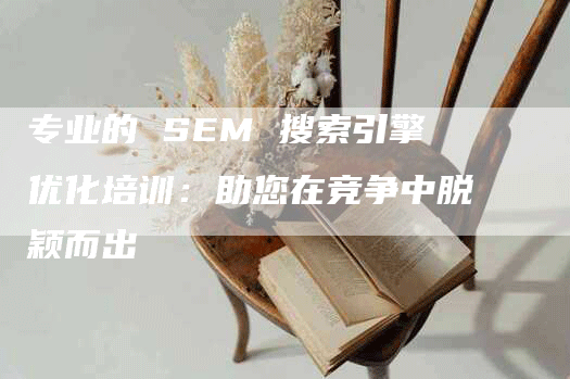 专业的 SEM 搜索引擎优化培训：助您在竞争中脱颖而出