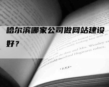 哈尔滨哪家公司做网站建设好？