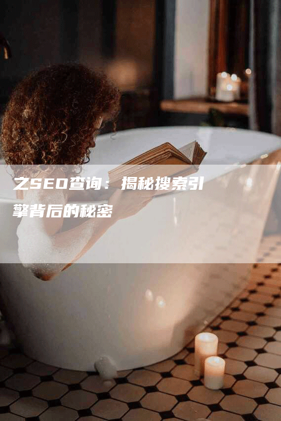 之SEO查询：揭秘搜索引擎背后的秘密