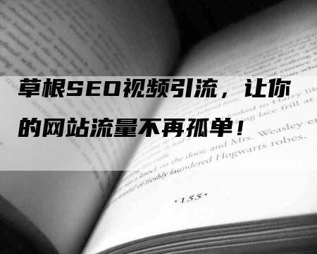 草根SEO视频引流，让你的网站流量不再孤单！