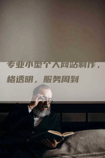 专业小型个人网站制作，价格透明，服务周到-网站排名优化网