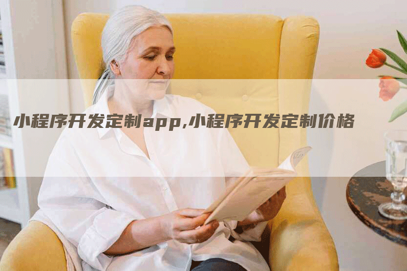 小程序开发定制app,小程序开发定制价格