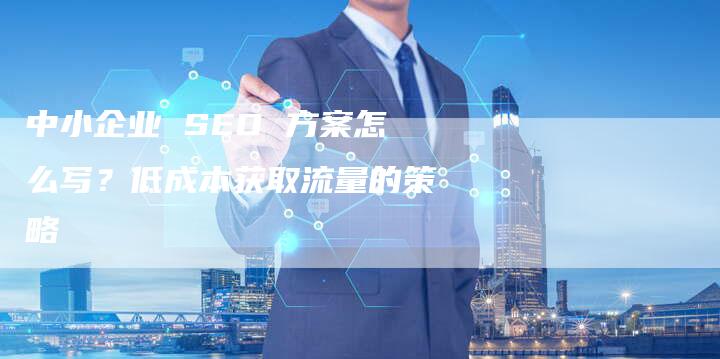 中小企业 SEO 方案怎么写？低成本获取流量的策略-网站排名优化网