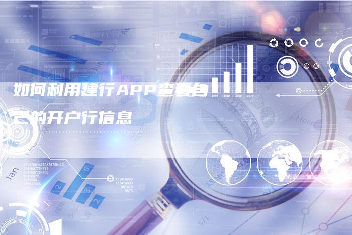 如何利用建行APP查看自己的开户行信息-网站排名优化网