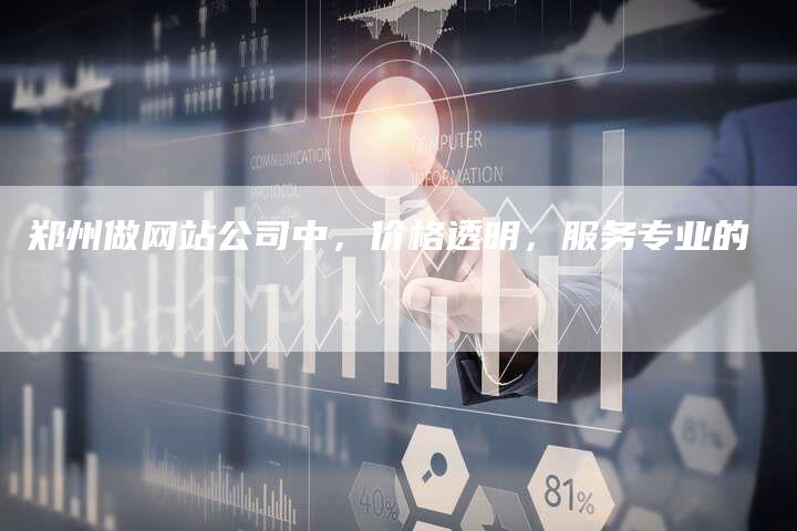 郑州做网站公司中，价格透明，服务专业的-网站排名优化网