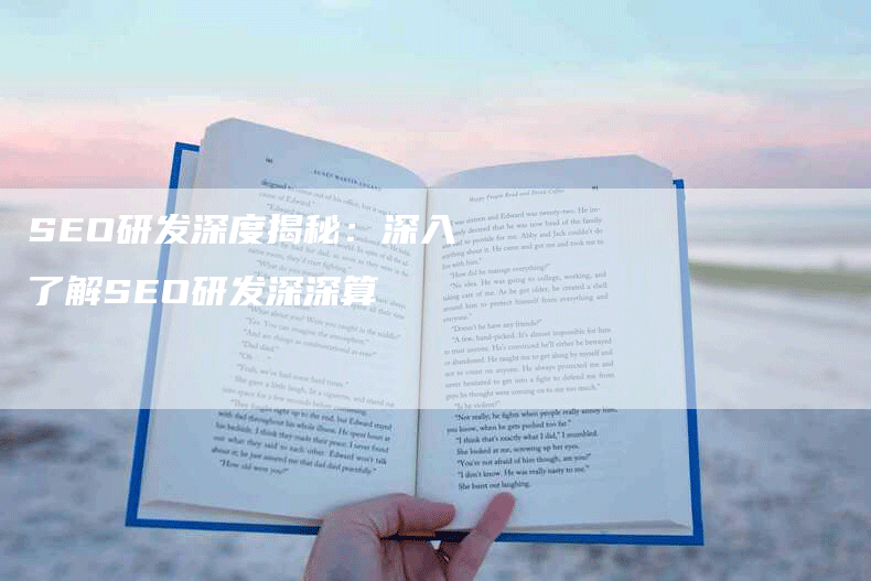 SEO研发深度揭秘：深入了解SEO研发深深算-网站排名优化网