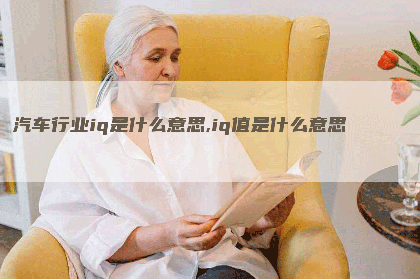 汽车行业iq是什么意思,iq值是什么意思