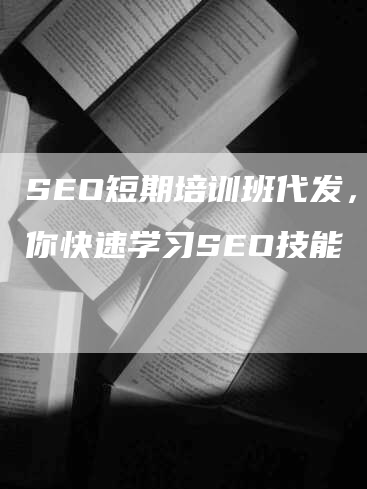 SEO短期培训班代发，让你快速学习SEO技能-网站排名优化网