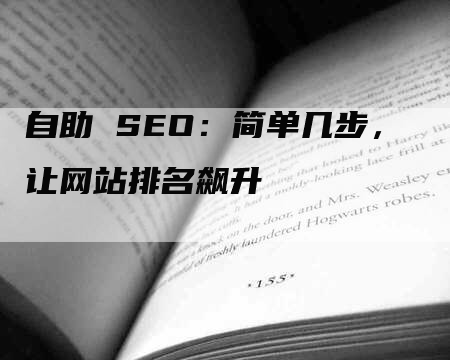 自助 SEO：简单几步，让网站排名飙升