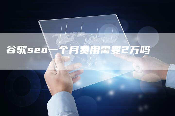 谷歌seo一个月费用需要2万吗