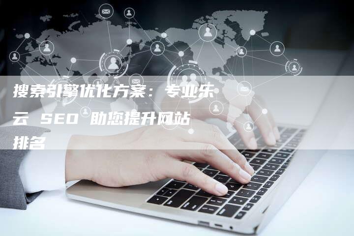 搜索引擎优化方案：专业乐云 SEO 助您提升网站排名