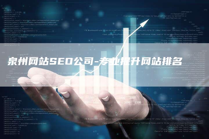 泉州网站SEO公司-专业提升网站排名